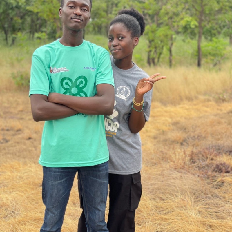 Stephen K. Agyapong and Llorence Y. Ameyaw